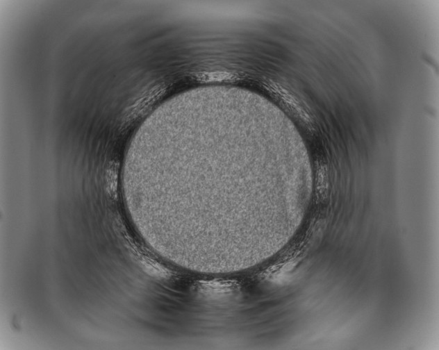 X0000096670545200803041222