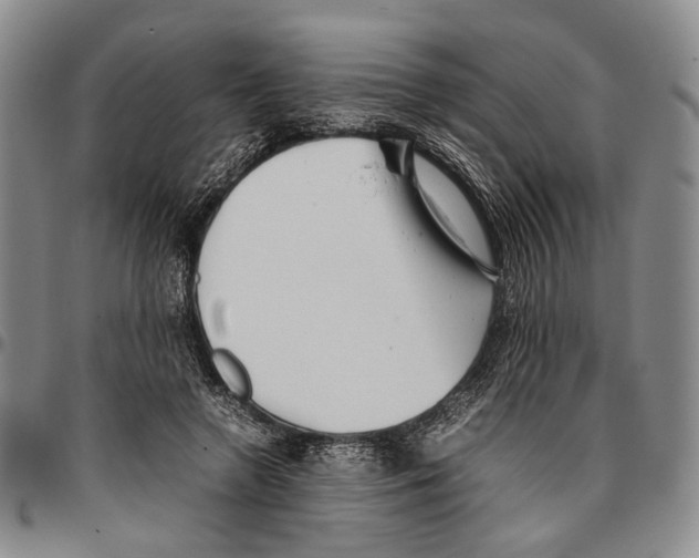 X0000096670546200803041222