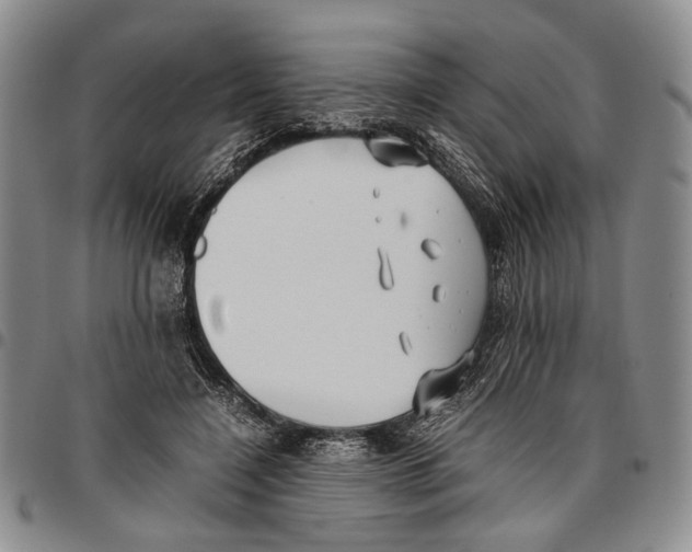 X0000096670548200803041222