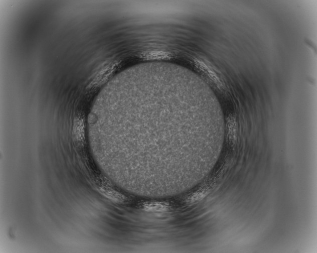 X0000096670549200803041222