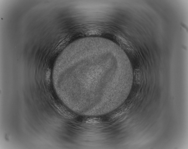 X0000096670550200803041222