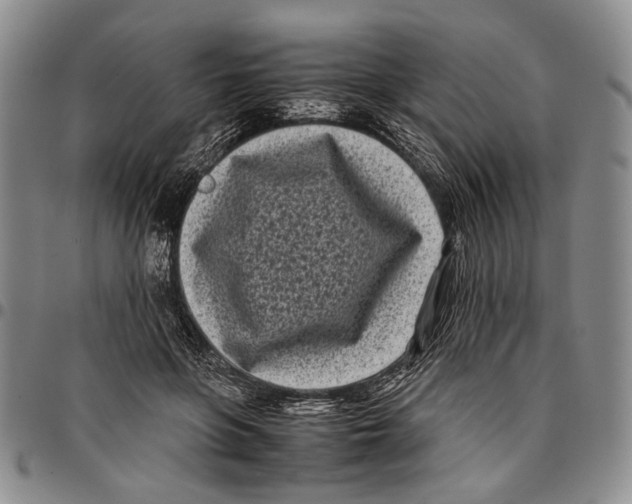 X0000096670551200803041222