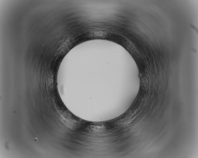 X0000096670552200803041222