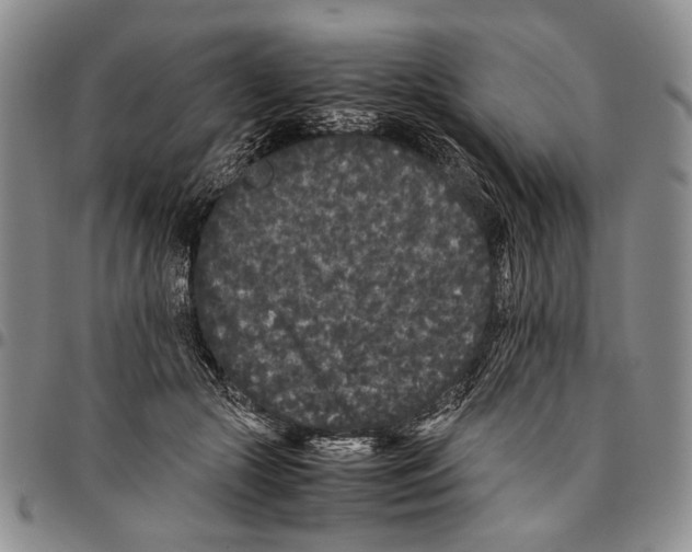 X0000096670553200803041222