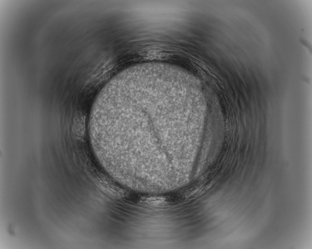 X0000096670554200803041222