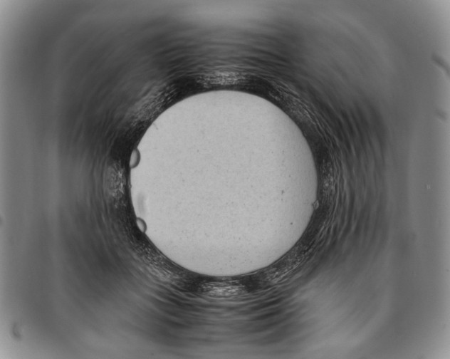 X0000096670555200803041222