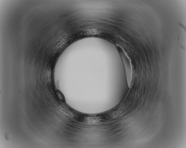 X0000096670556200803041222