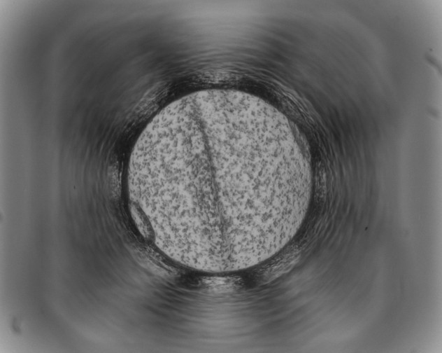 X0000096670558200803041223