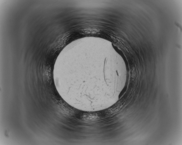 X0000096670559200803041223