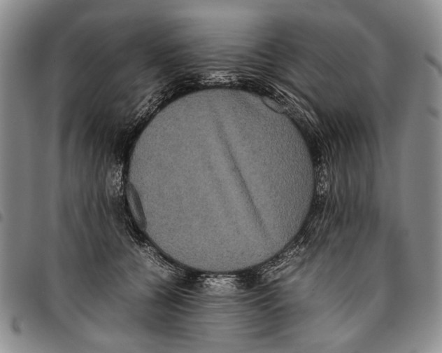 X0000096670560200803041223