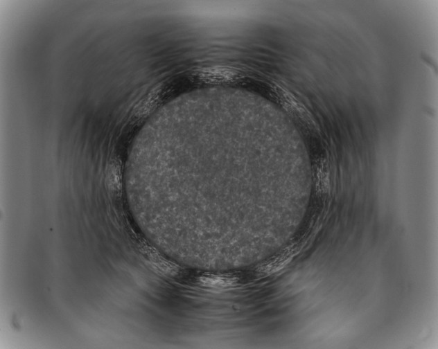 X0000096670561200803041223