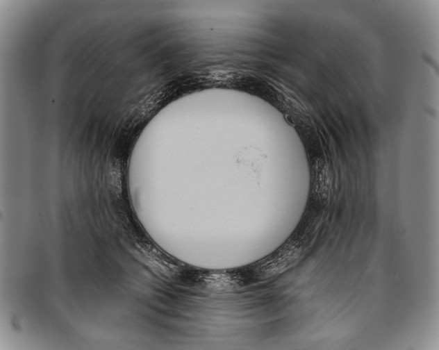 X0000096670562200803041223