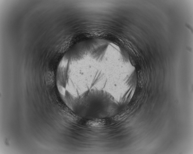 X0000096670563200803041223