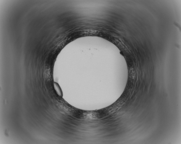 X0000096670564200803041223