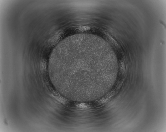 X0000096670565200803041223