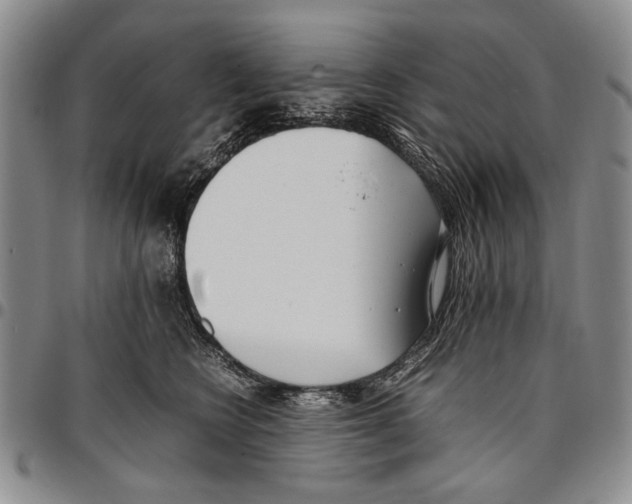 X0000096670566200803041223