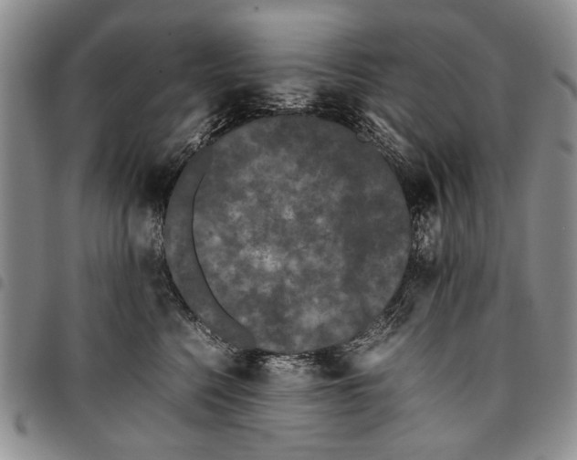 X0000096670568200803041223