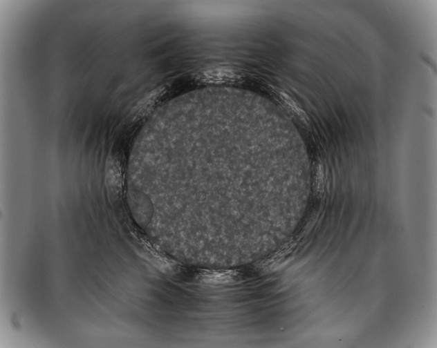 X0000096670569200803041223