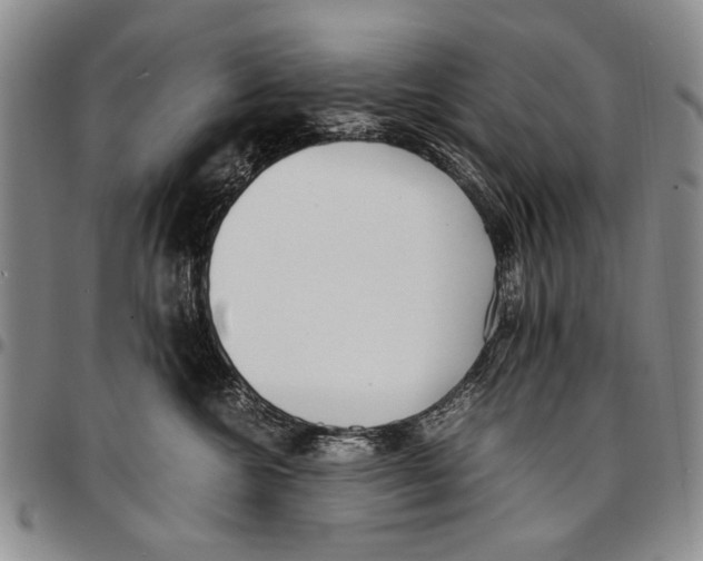 X0000096670572200803041223