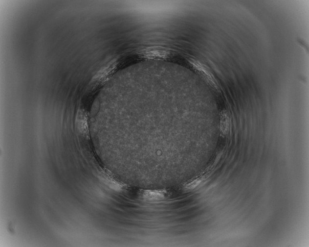 X0000096670573200803041223