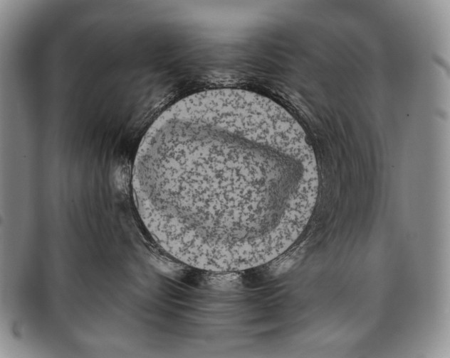 X0000096670576200803041223
