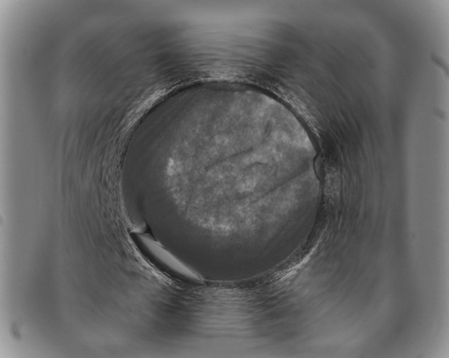 X0000096670577200803041222