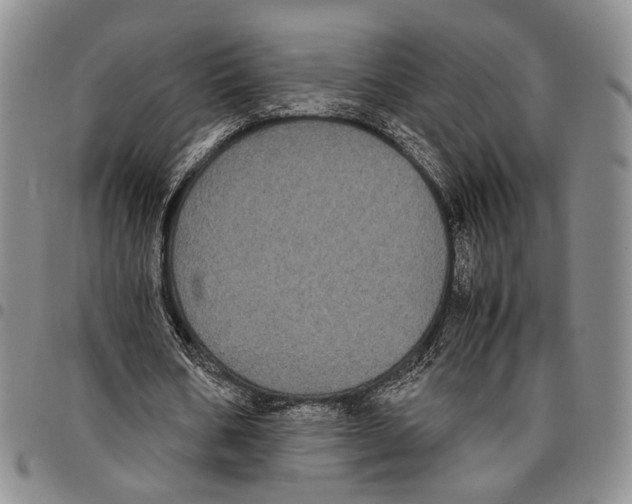X0000096670578200803041222