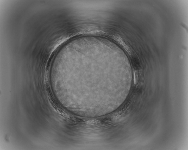 X0000096670579200803041222