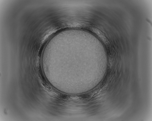 X0000096670583200803041222