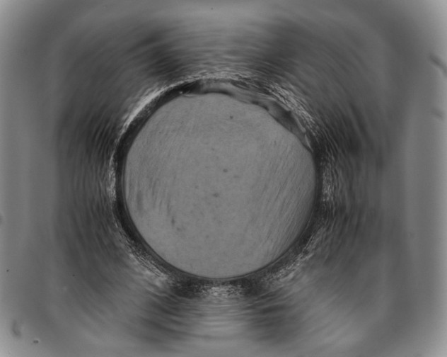 X0000096670584200803041222
