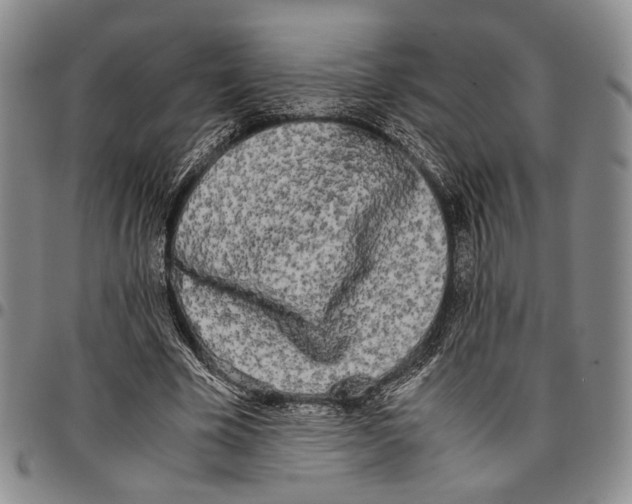 X0000096670585200803041222