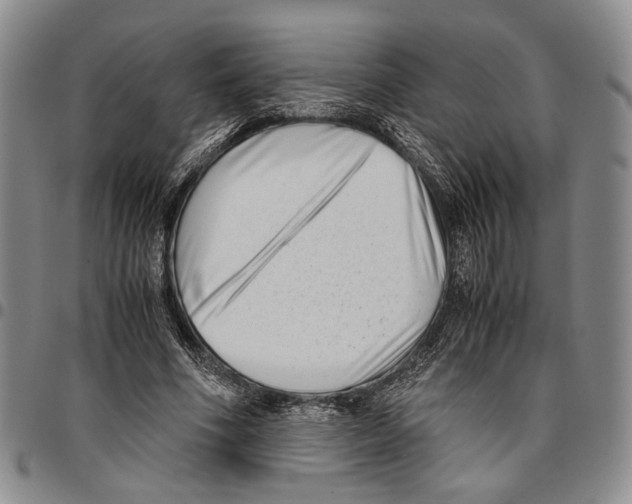 X0000096670586200803041222