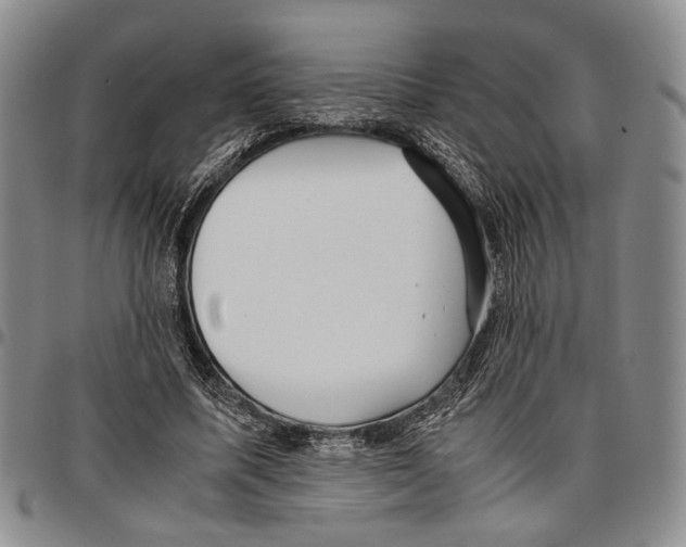 X0000096670587200803041222