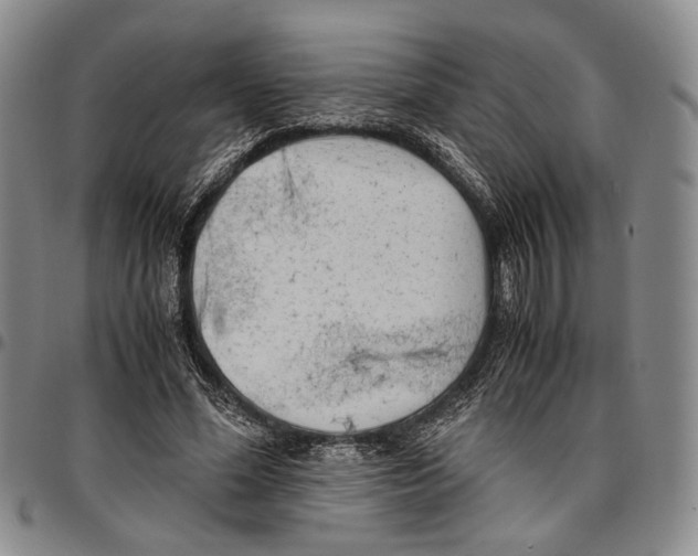 X0000096670588200803041222