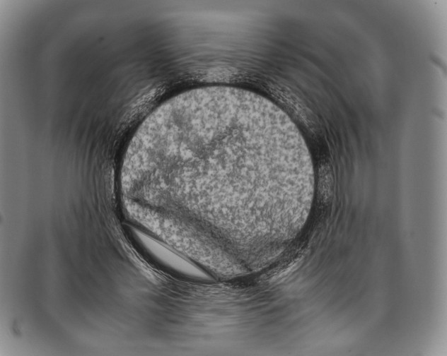 X0000096670589200803041222