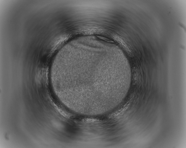 X0000096670590200803041222
