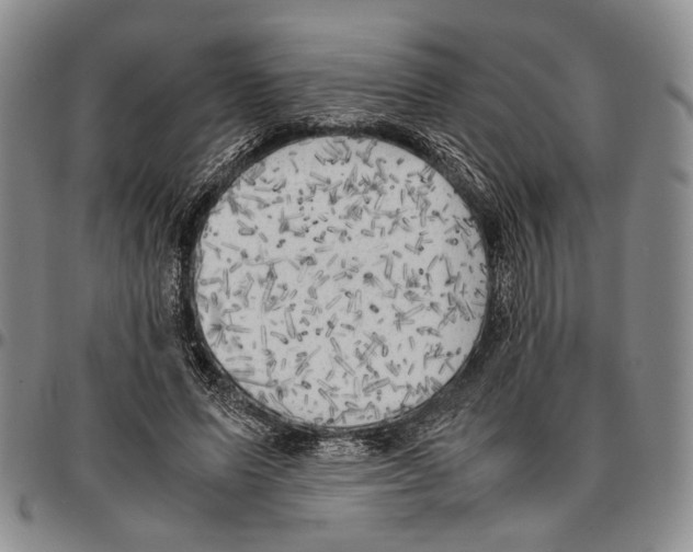 X0000096670591200803041222