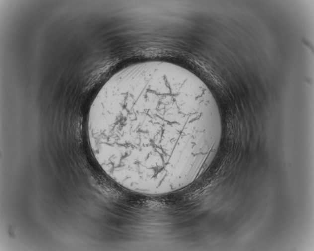 X0000096670592200803041222