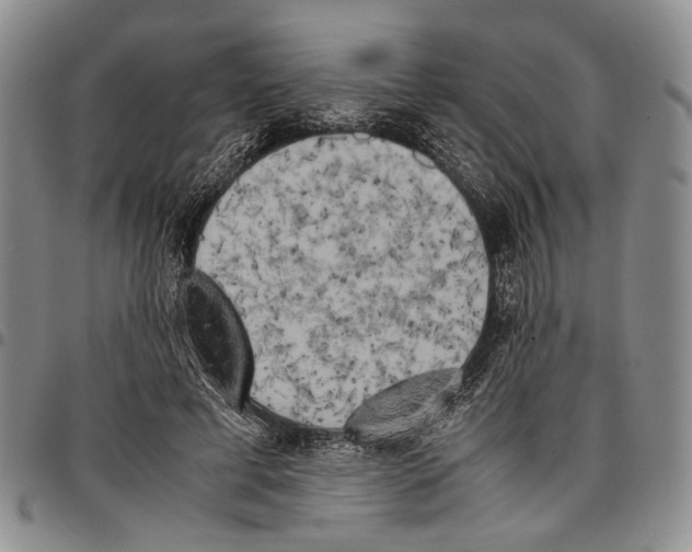 X0000096670593200803041222