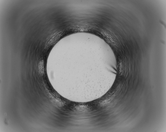 X0000096670594200803041222