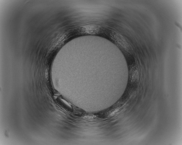 X0000096670595200803041222