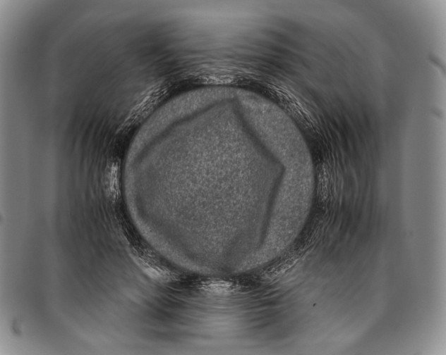 X0000096670598200803041222