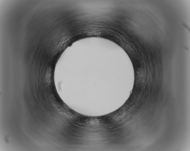 X0000096670600200803041222
