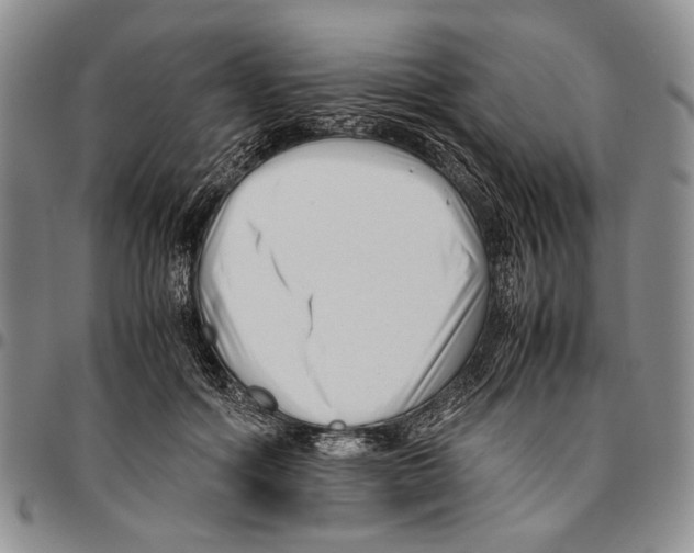 X0000096670602200803041222