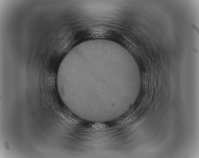 X0000096670603200803041222