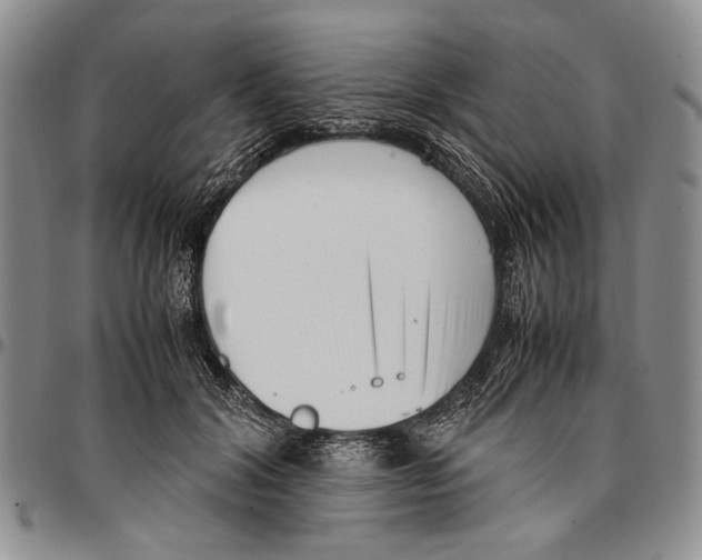 X0000096670604200803041222