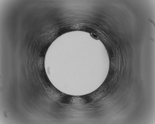 X0000096670605200803041222