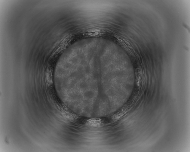 X0000096670606200803041222