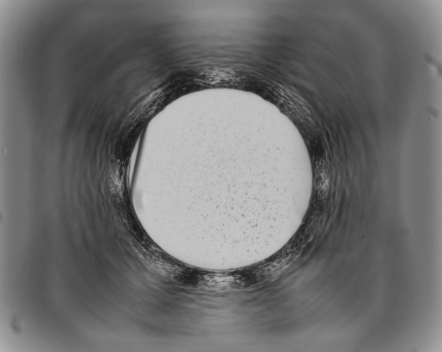 X0000096670607200803041222