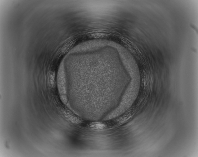 X0000096670610200803041222
